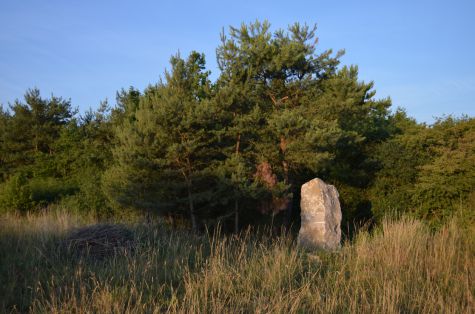 Géobiologie roche