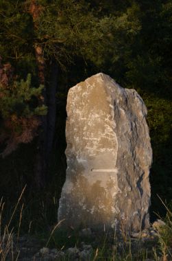 geobiologie roche 02